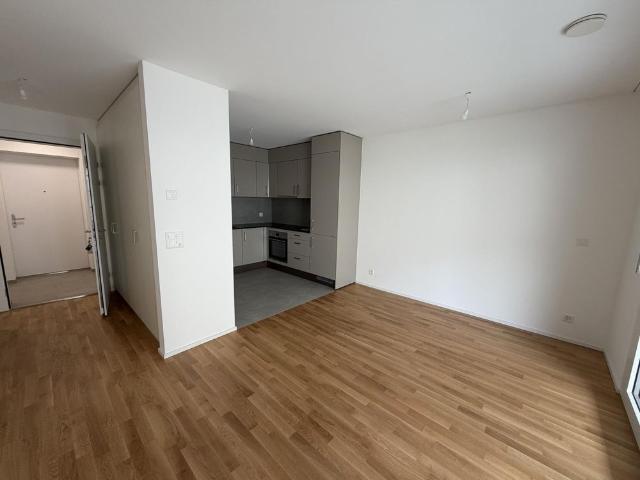 Apartment mieten in Les Mayens-de-Sion, Wallis