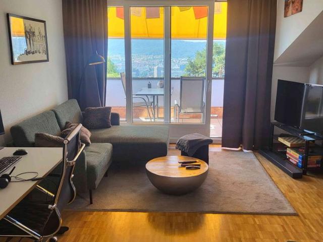 Apartment mieten in Einigen, Zürich