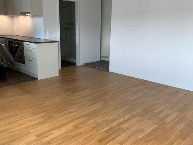 Apartment mieten in Neuhausen, Schaffhausen