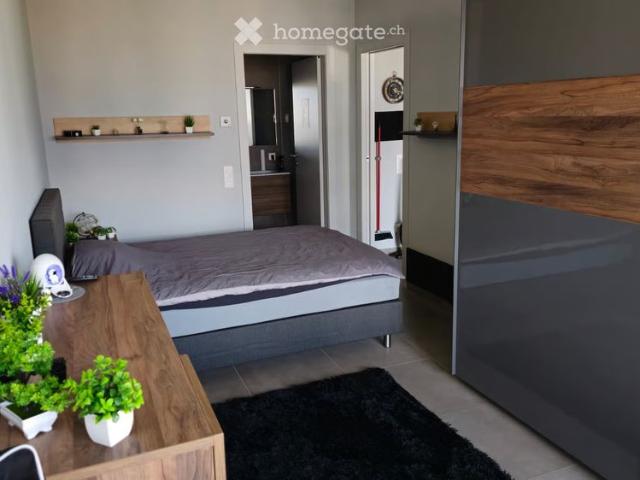 Apartment mieten in Ascona, Tessin