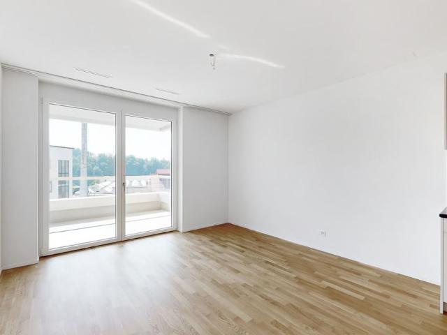 Apartment mieten in Neuhausen, Schaffhausen