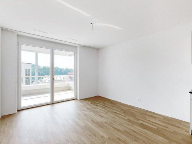 Apartment mieten in Neuhausen, Schaffhausen