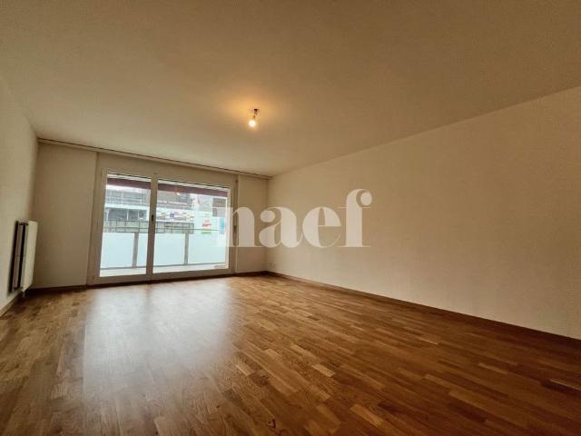 Apartment mieten in Vevey, Waadt