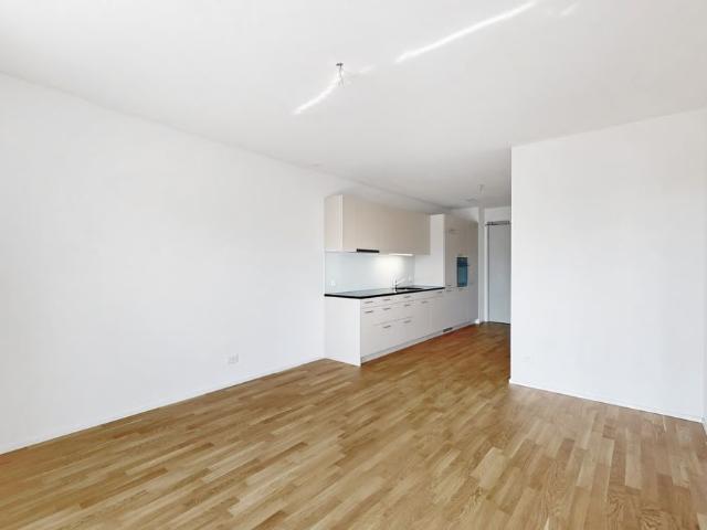 Haus mieten in Neuhausen, Schaffhausen