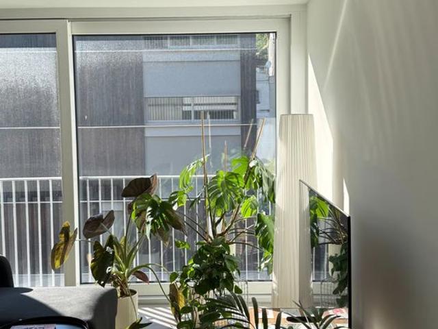 Apartment mieten in Grono, Graubünden