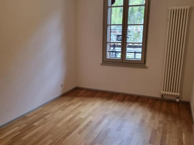 Apartment mieten in Haut-Intyamon, Montbovon