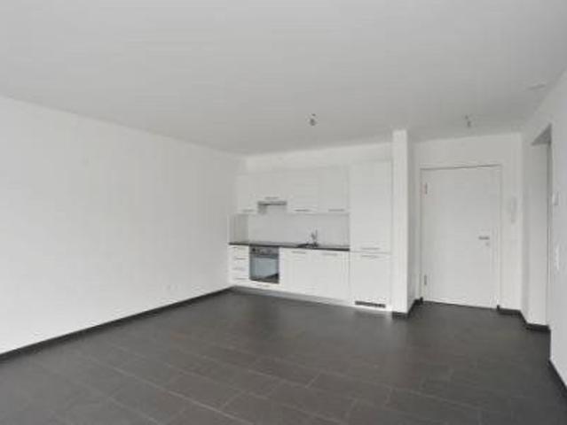Apartment mieten in Locarno Monti, Locarno