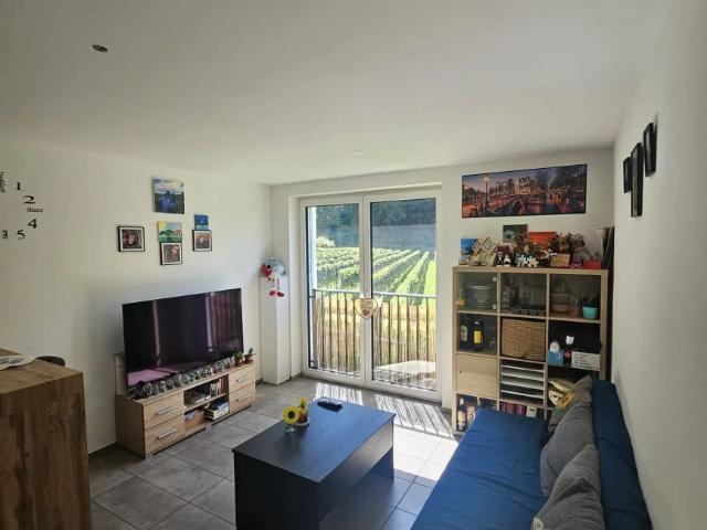 Apartment mieten in Cadenazzo, Tessin