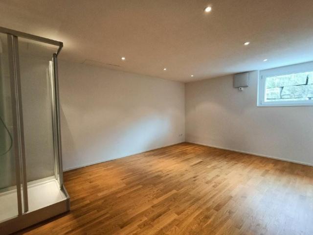 Apartment mieten in Ballwil, Lü