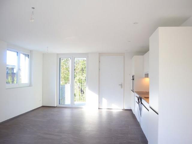 Apartment mieten in Frauenfeld, Thurgau