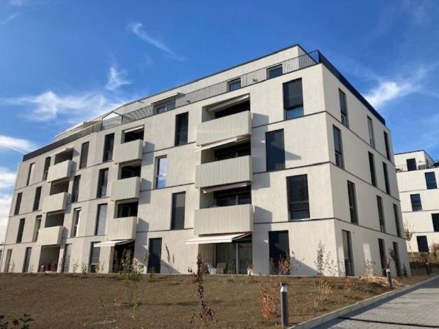 Apartment mieten in Waadt