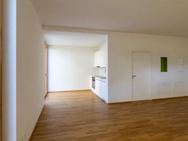 Apartment mieten in Monte Carasso, Bellinzona