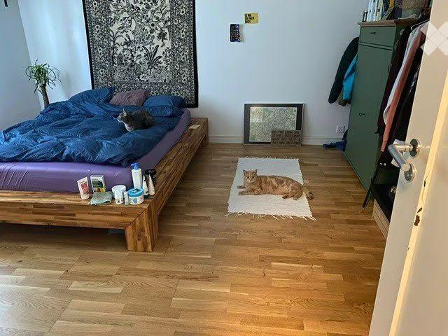 Apartment mieten in Bern