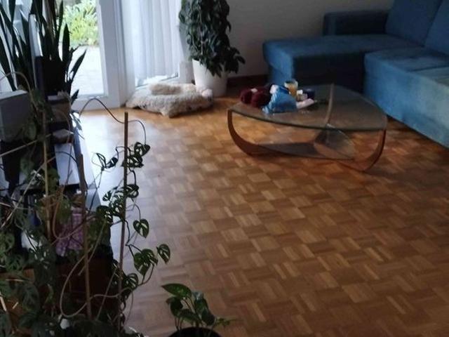 Apartment mieten in Menziken, Aargau