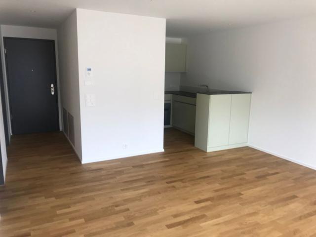 Apartment mieten in Steinen, Schwyz