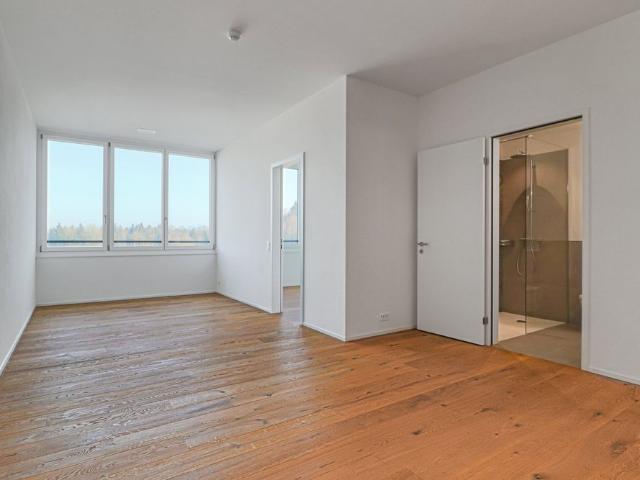Apartment mieten in Sursee, Lü