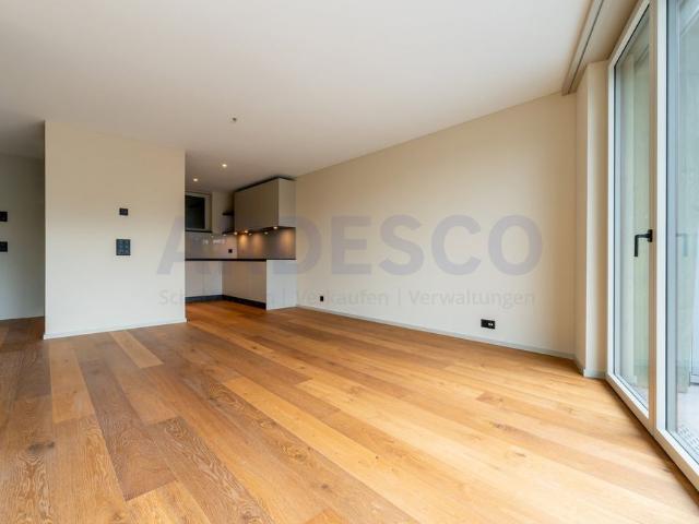 Apartment mieten in Schönenwerd, Solothurn
