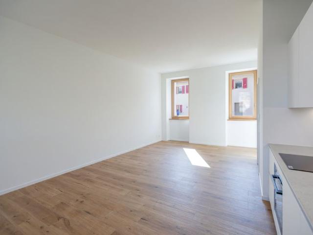 Apartment mieten in Novazzano, Tessin