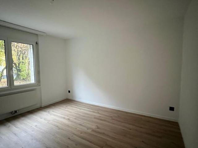 Apartment mieten in Haute-Sorne, Jura