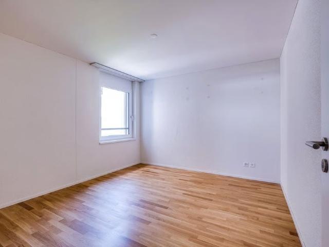 Apartment mieten in Lenzburg, Aargau