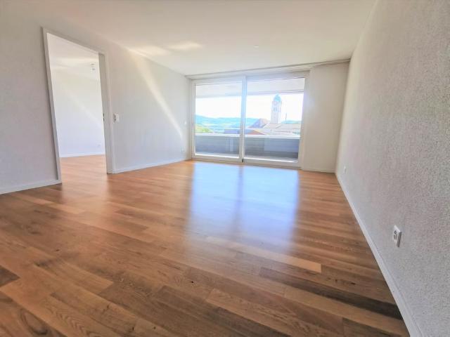 Apartment mieten in Seengen, Aargau