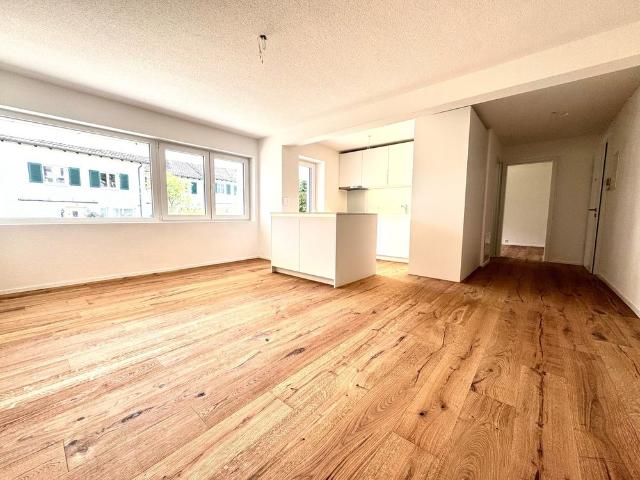 Apartment mieten in Niedergösgen, Solothurn