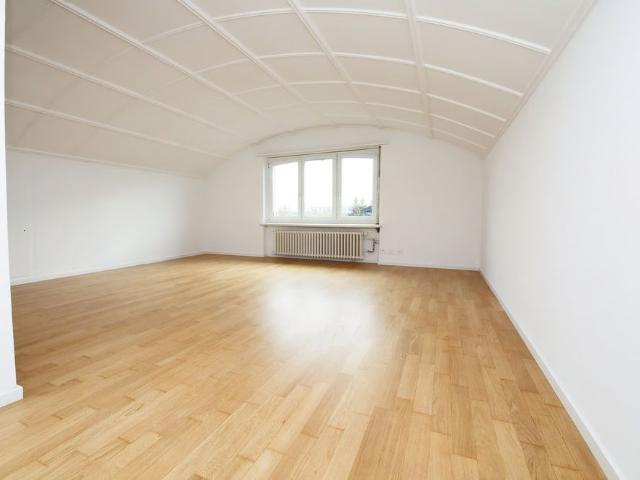 Apartment mieten in Flugfeld, Dübendorf