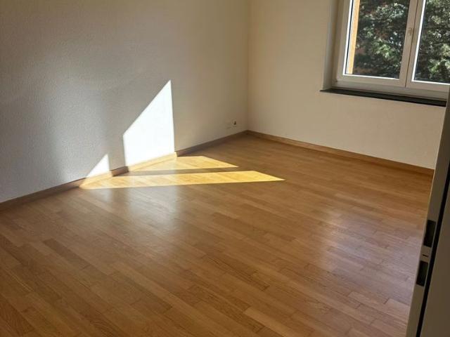 Apartment mieten in Grafschaft, Oberglatt