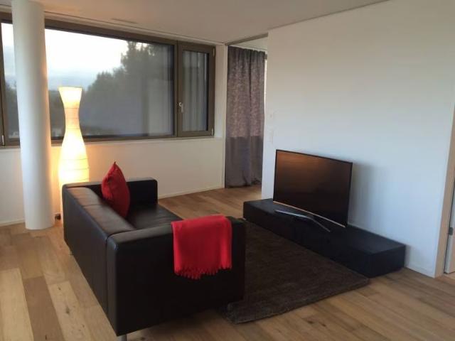 Apartment mieten in Cham, Zug