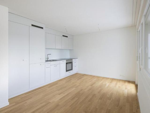 Haus mieten in Seebach, Zürich