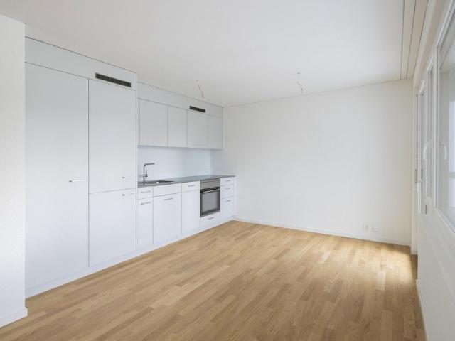 Haus mieten in Seebach, Zürich