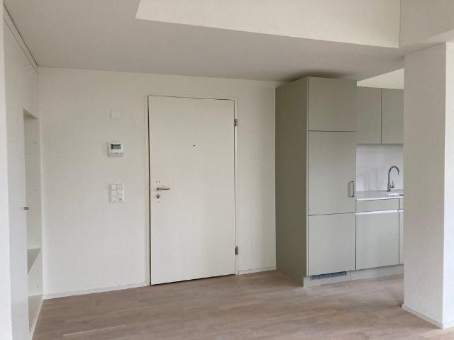 Apartment mieten in Einigen, Zürich