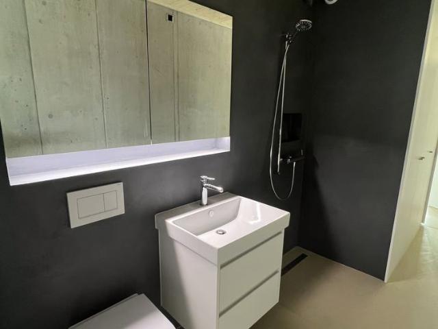 Apartment mieten in Einigen, Zürich