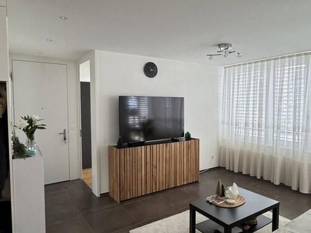 Apartment mieten in Anglikon, Wohlen