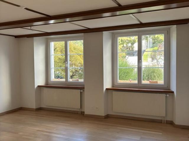 Apartment mieten in Niederdorf, Bezirk Waldenburg