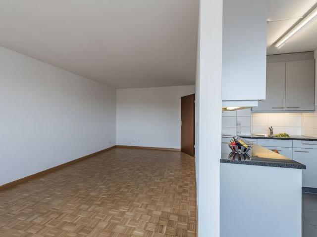 Apartment mieten in Pratteln, Bezirk Liestal