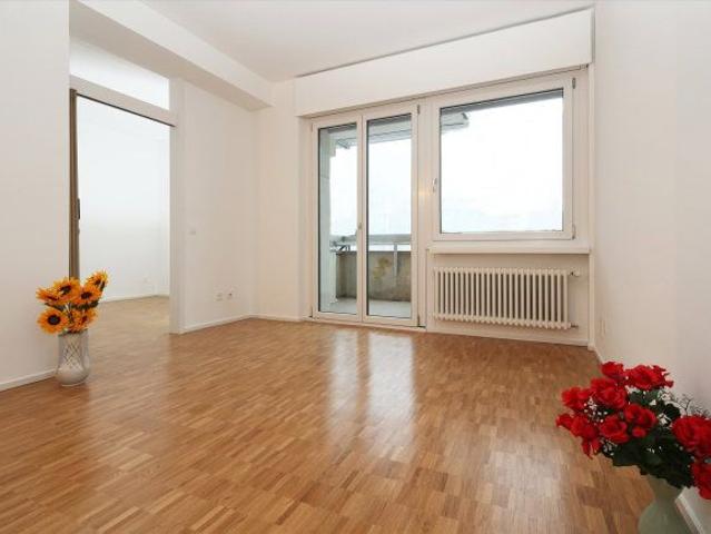 Apartment mieten in Molino Nuovo, Lugano