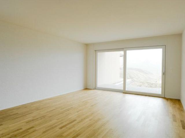 Apartment mieten in Vordere Bühl, Frauenfeld
