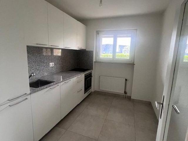 Apartment mieten in Ascona, Tessin