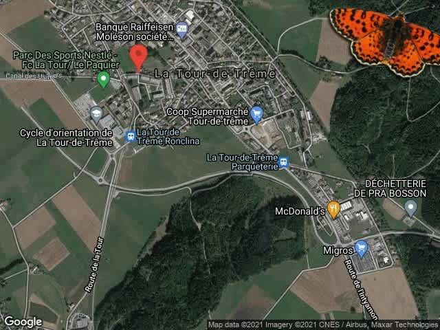 Apartment mieten in Bulle, Freiburg