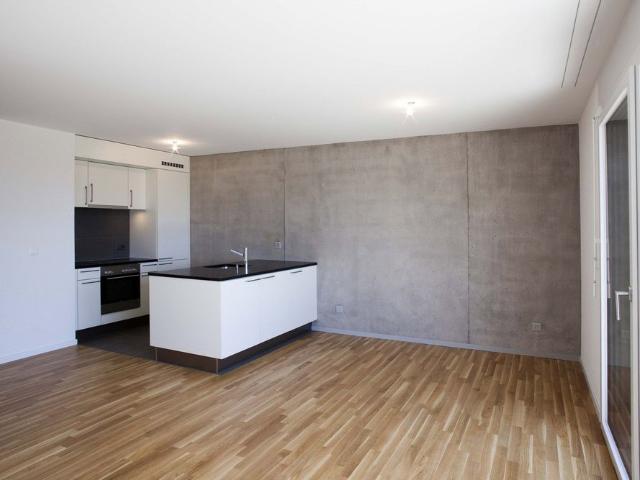 Apartment mieten in Vevey, Waadt