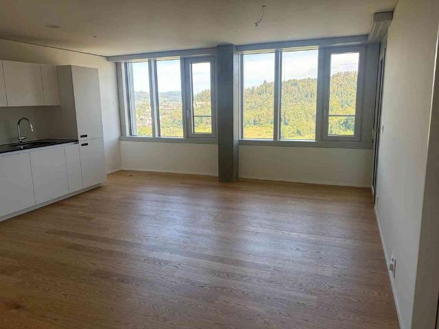 Apartment mieten in Kriens, Lü