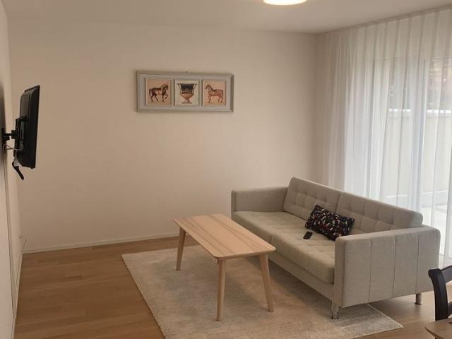 Apartment mieten in Einigen, Zürich