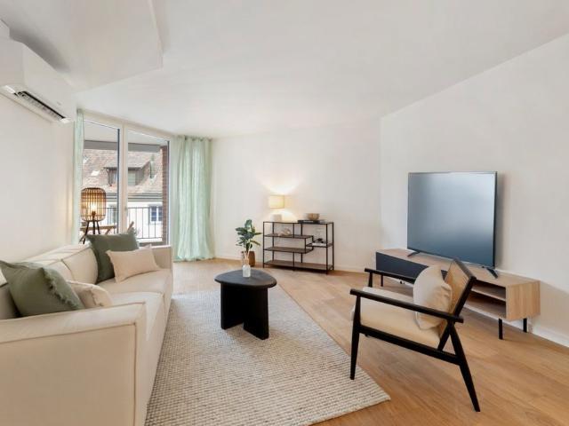 Apartment mieten in Stein am Rhein, Schaffhausen