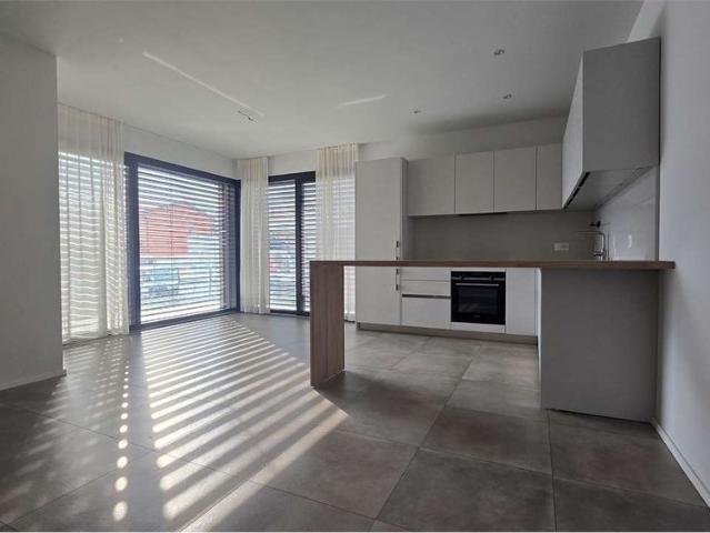 Apartment mieten in Bedano, Tessin