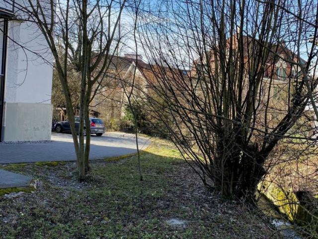 Apartment mieten in Solothurn