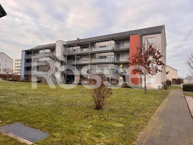 Apartment mieten in Avenches