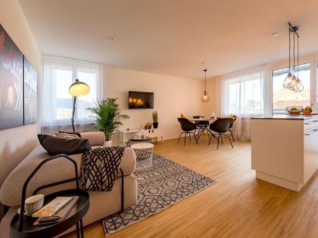 Apartment mieten in Solothurn
