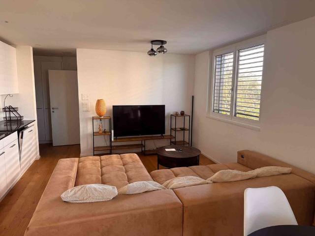 Apartment mieten in Amriswil, Bezirk Arbon