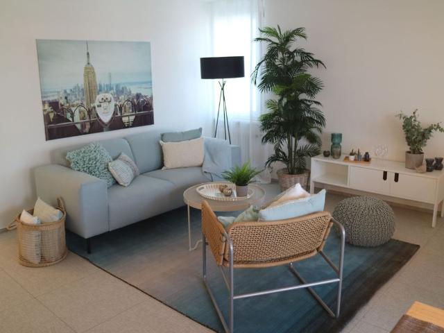 Apartment mieten in Solothurn